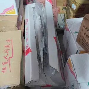 鑫京兴带鱼5/7A