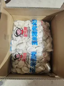 金大嫂玉米猪肉水饺