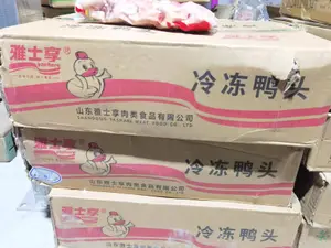 雅士享鸭头（9）