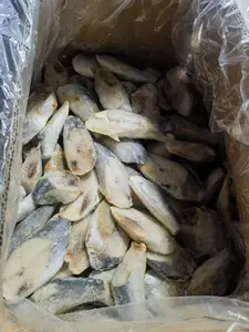 马鲛鱼块（片）