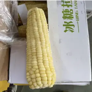 【白】银香玉拉丝白A糯玉米