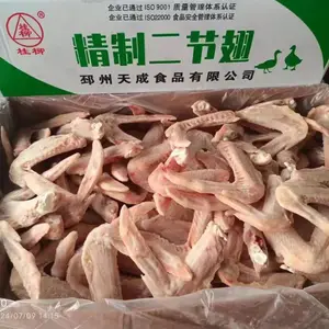 桂柳（大）二节翅