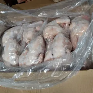 润达7只杂交三黄鸡（红胶）