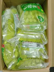 鹑香飘清水鹌鹑蛋