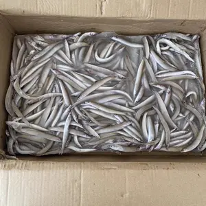 环球水产 单冻海泥鳅